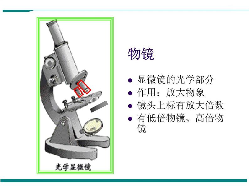 2.1.1 练习使用显微镜 PPT教学课件05