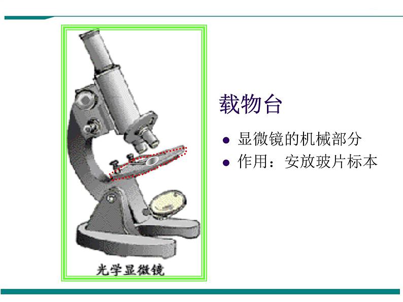 2.1.1 练习使用显微镜 PPT教学课件06