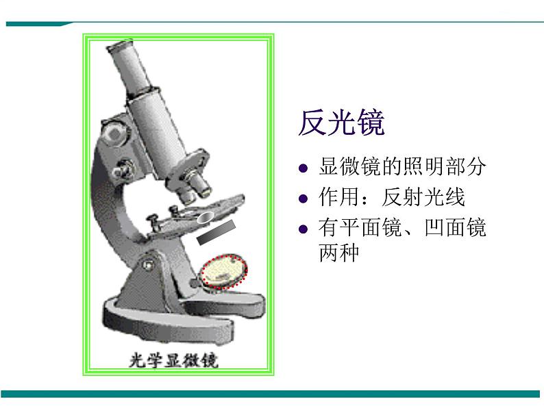 2.1.1 练习使用显微镜 PPT教学课件07