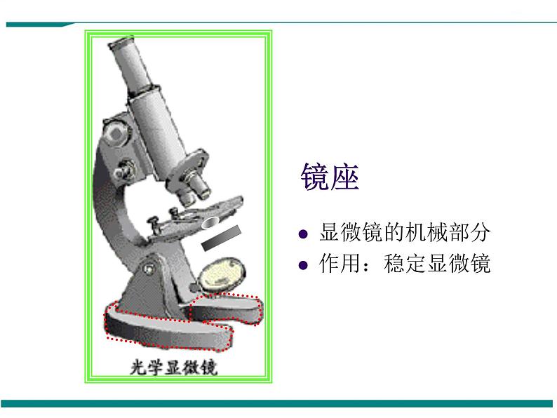 2.1.1 练习使用显微镜 PPT教学课件08