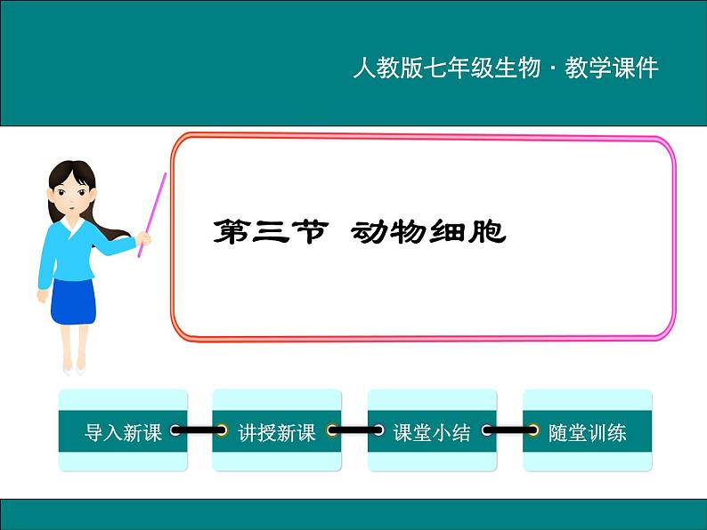 2.1.3 动物细胞 PPT教学课件01