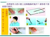 2.1.3 动物细胞 PPT教学课件