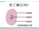 2.1.4 细胞的生活 PPT教学课件