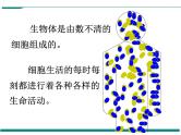 2.1.4 细胞的生活 PPT教学课件