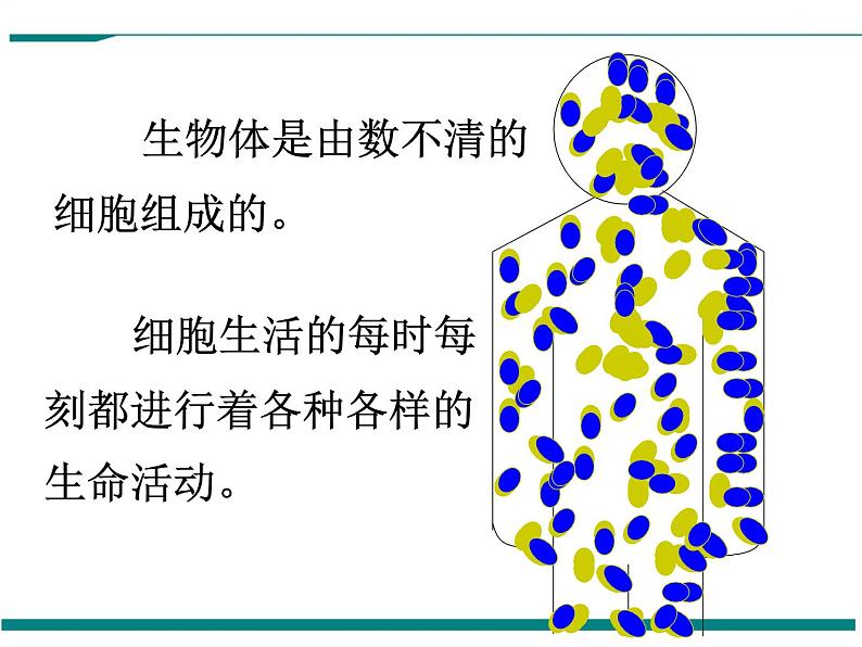 2.1.4 细胞的生活 PPT教学课件05