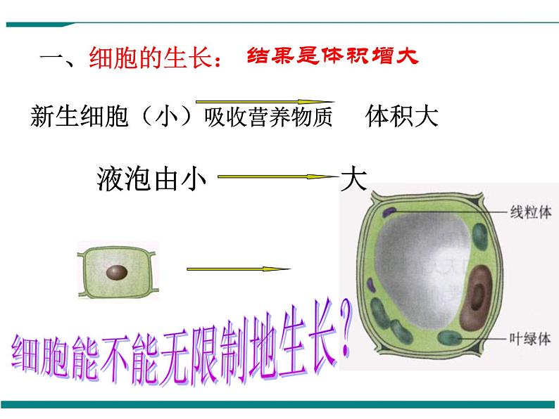 2.2.1 细胞通过分裂产生新细胞 PPT教学课件05