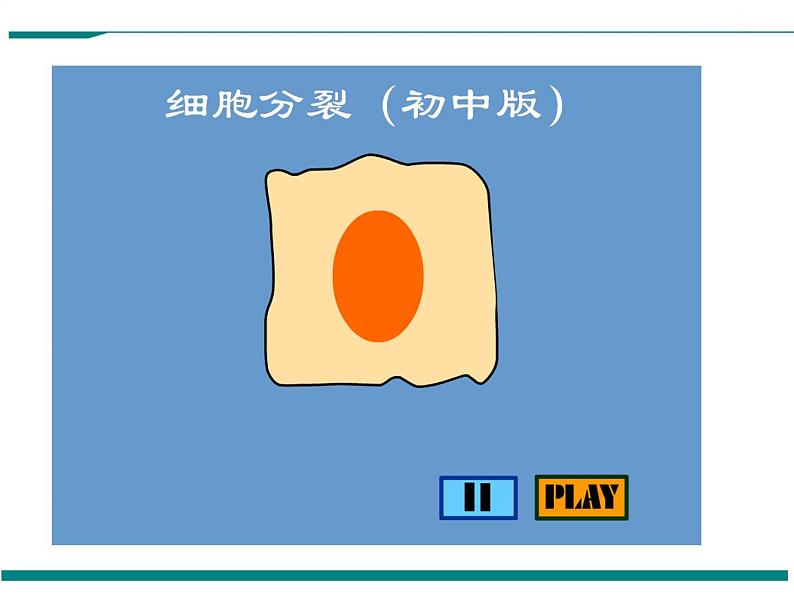 2.2.1 细胞通过分裂产生新细胞 PPT教学课件08