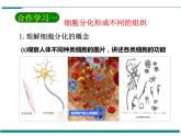 2.2.2 动物体的结构层次 PPT教学课件