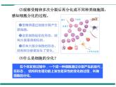 2.2.2 动物体的结构层次 PPT教学课件