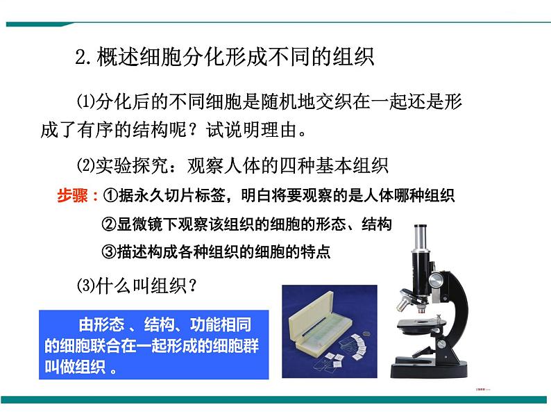 2.2.2 动物体的结构层次 PPT教学课件05