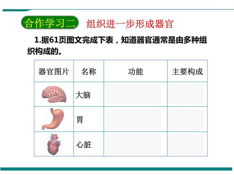 2.2.2 动物体的结构层次 PPT教学课件08