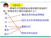 2.2.3 植物体的结构层次 PPT教学课件