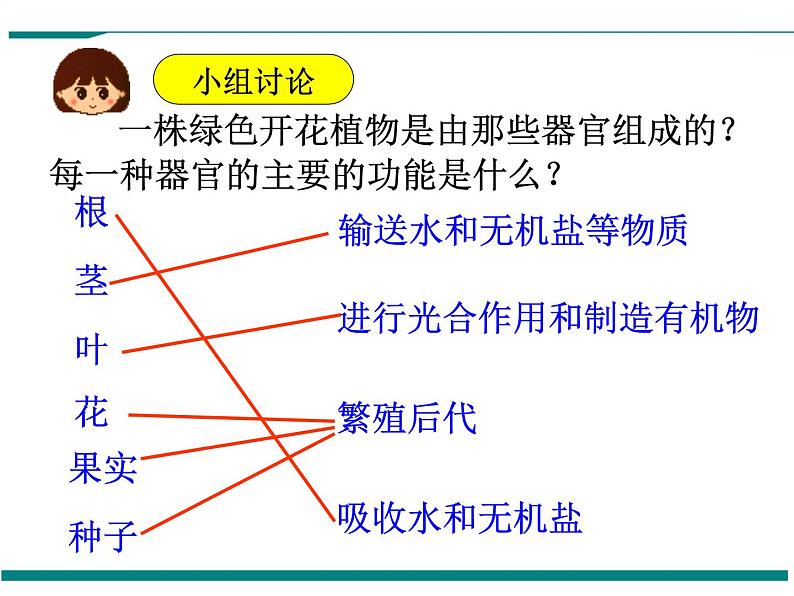 2.2.3 植物体的结构层次 PPT教学课件第3页