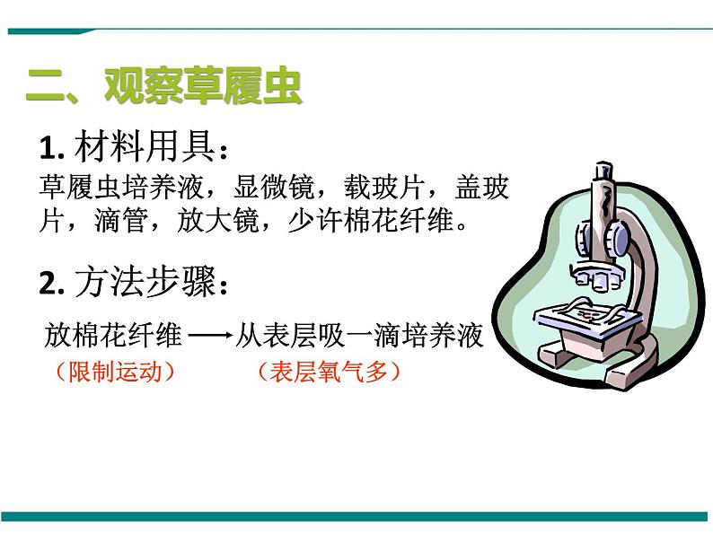 2.2.4 单细胞生物 PPT教学课件06