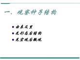 3.1.2 種子植物  第1課時(shí) PPT教學(xué)課件