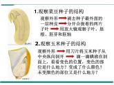 3.1.2 種子植物  第1課時(shí) PPT教學(xué)課件