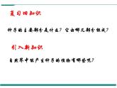 3.1.2 種子植物  第2課時(shí) PPT教學(xué)課件