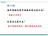 3.1.2 種子植物  第2課時(shí) PPT教學(xué)課件