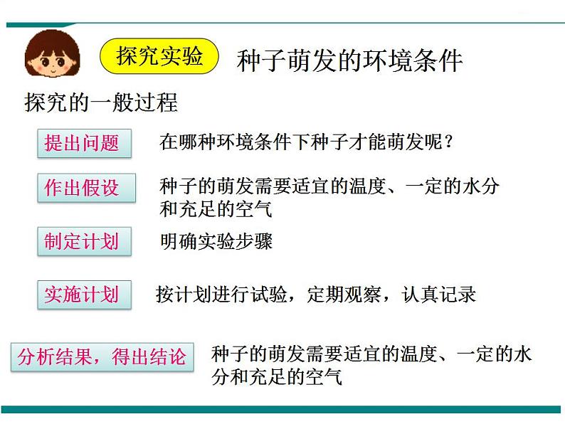 3.2.1 种子的萌发 PPT教学课件06