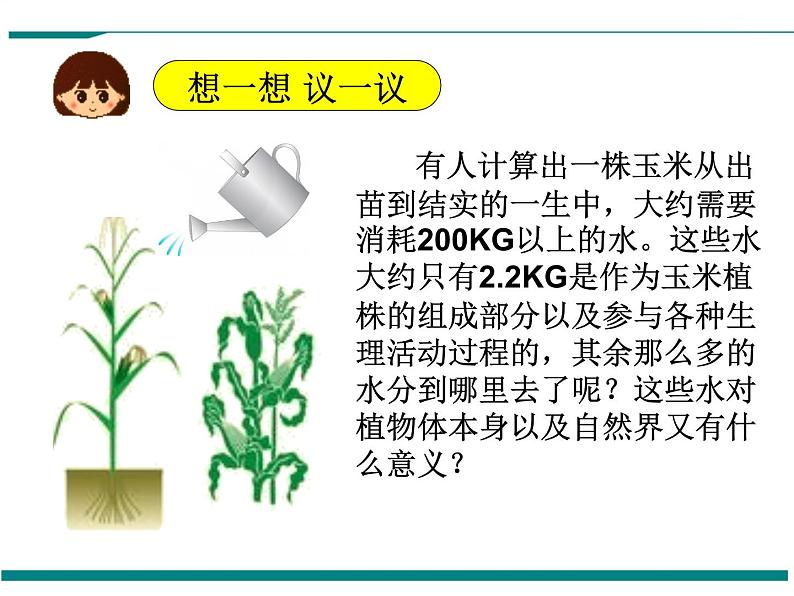 3.3 绿色植物与生物圈的水循环 PPT教学课件03