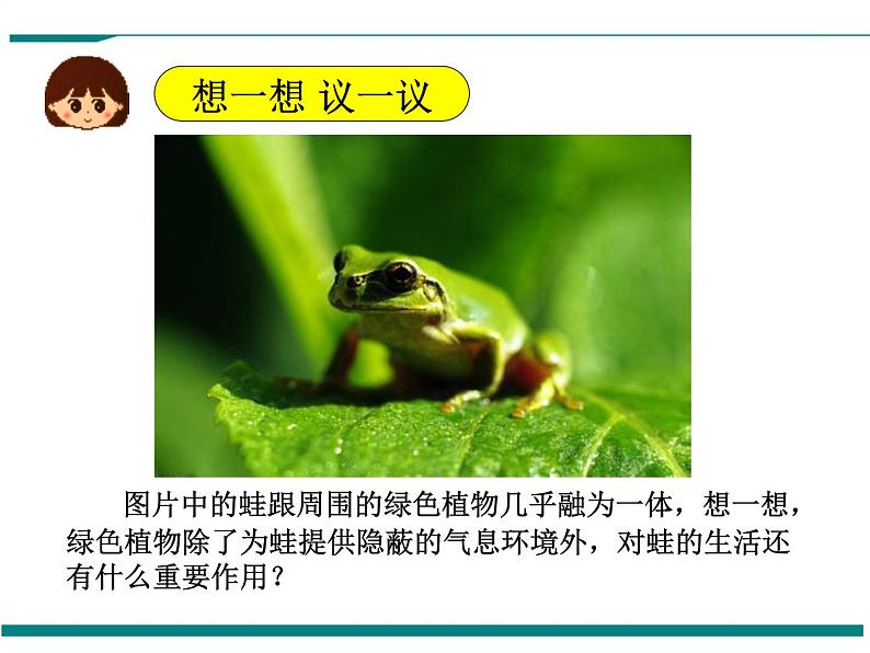 3.4 绿色植物是生物圈中有机物的制造者 PPT教学课件03