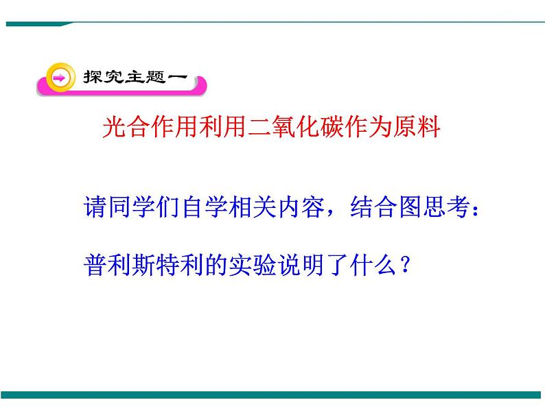 3.5.1 光合作用吸收二氧化碳释放氧气 PPT教学课件04