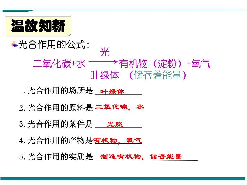 3.5.2 绿色植物的呼吸作用 PPT教学课件02