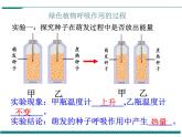 3.5.2 绿色植物的呼吸作用 PPT教学课件