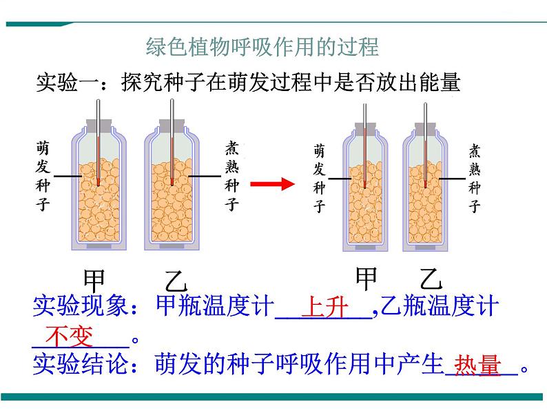 3.5.2 绿色植物的呼吸作用 PPT教学课件05