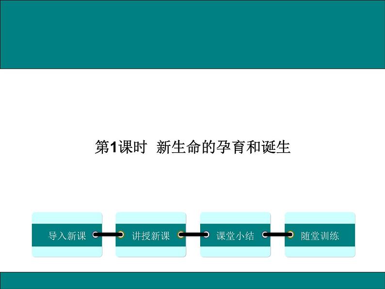 19.1.1  新生命的孕育和诞生+课件01