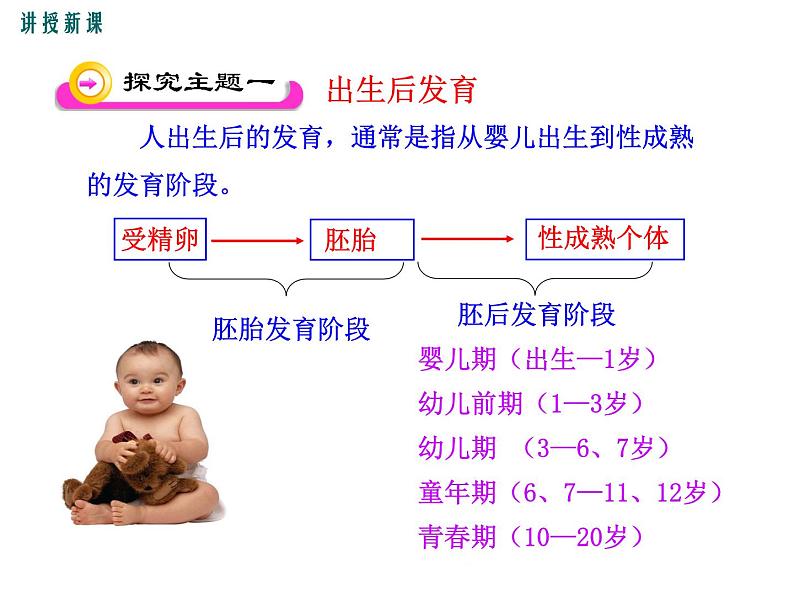 19.1.2  人的发育+课件04