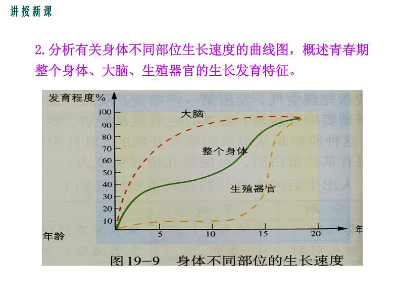 19.1.2  人的发育+课件06