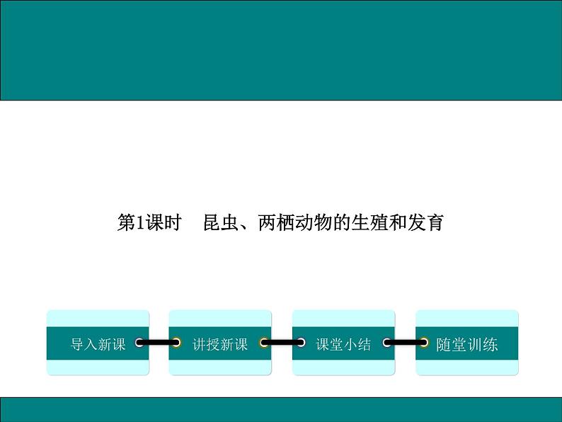 19.2.1  昆虫、两栖类动物的生殖和发育+课件01