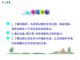 19.2.2  鸟的生殖和发育+课件