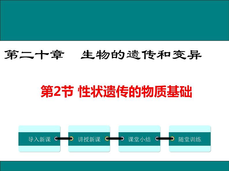 20.2 性状遗传的物质基础+课件01