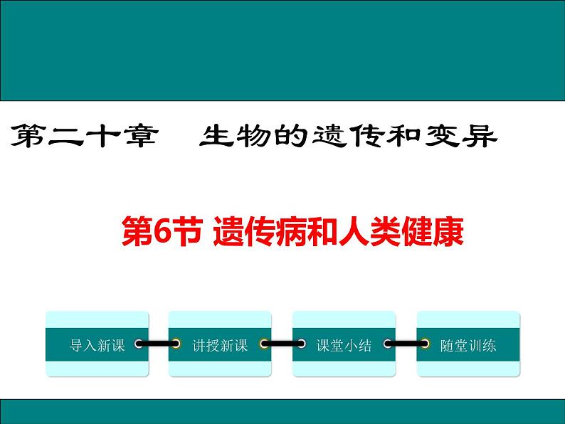 20.6 遗传病和人类健康+课件01