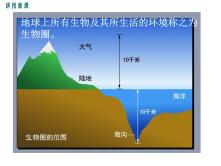 北师大版七年级上册第1节 形形色色的生物图文ppt课件_ppt02