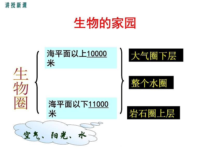 1.1.1  形形色色的生物+课件04