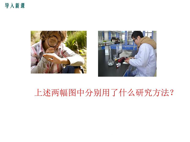 1.2.2  生物科学的基本方法+课件02