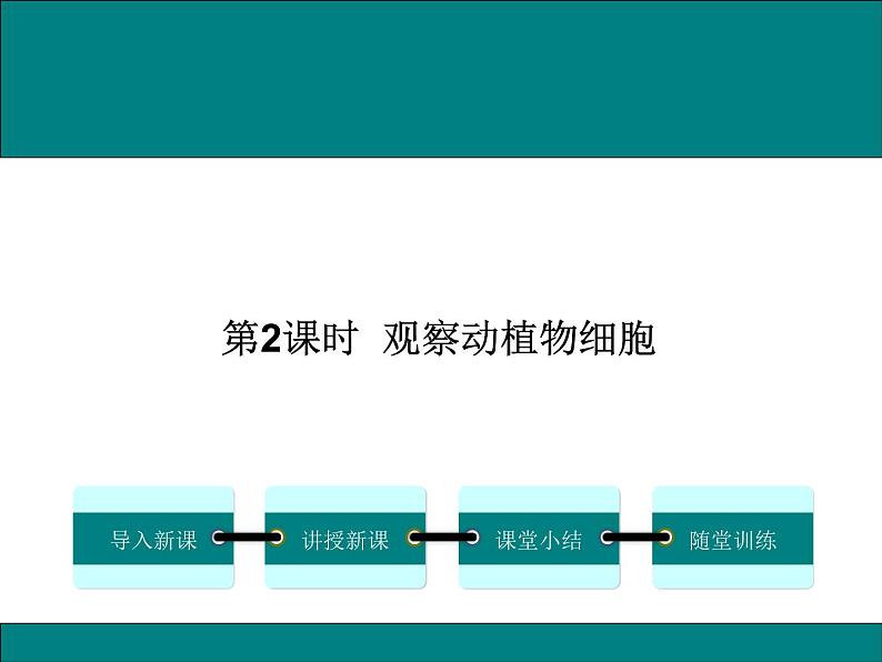 2.3.1.1  观察动植物细胞+课件01