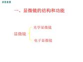 2.3.1.2  光学显微镜的使用方法+课件