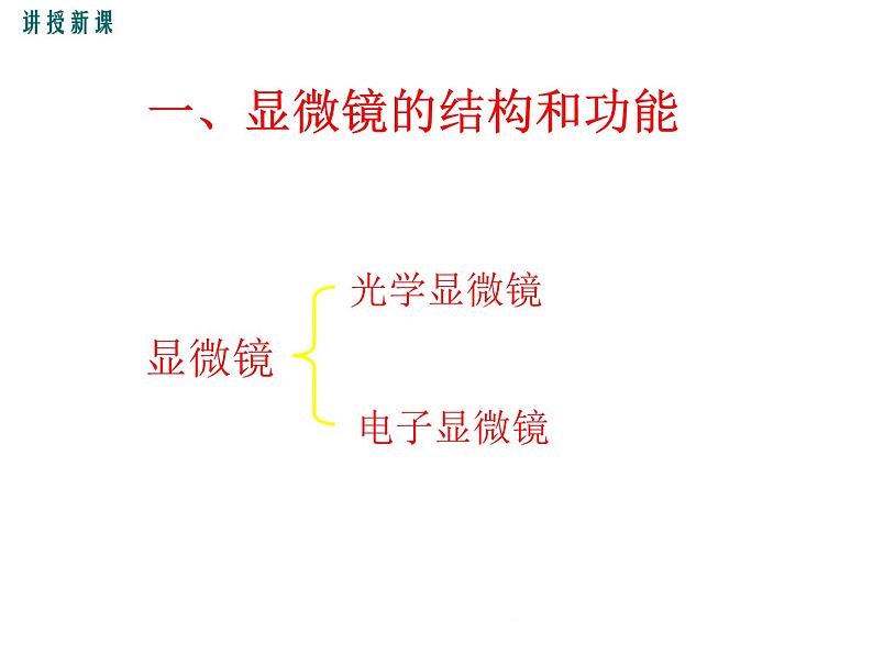 2.3.1.2  光学显微镜的使用方法+课件03