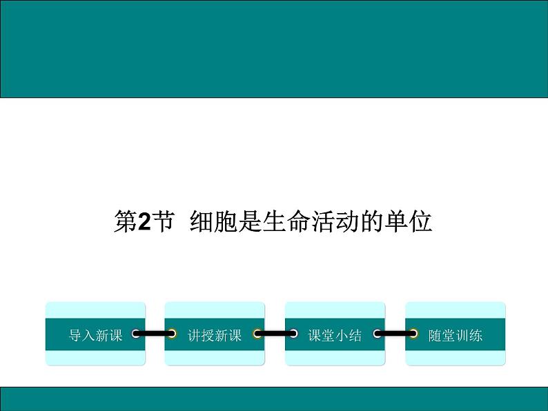 2.3.2  细胞是生命活动的单位 +课件01