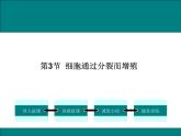 2.3.3  细胞通过分裂而增殖+课件