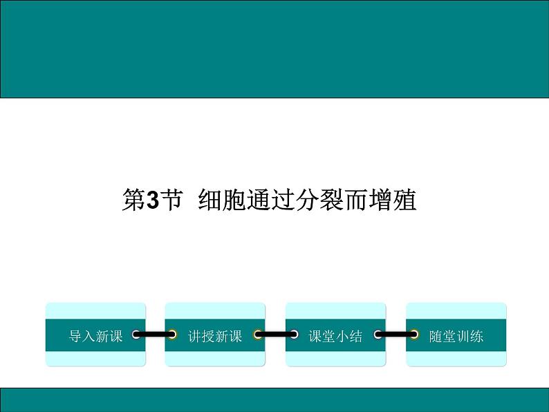 2.3.3  细胞通过分裂而增殖+课件01