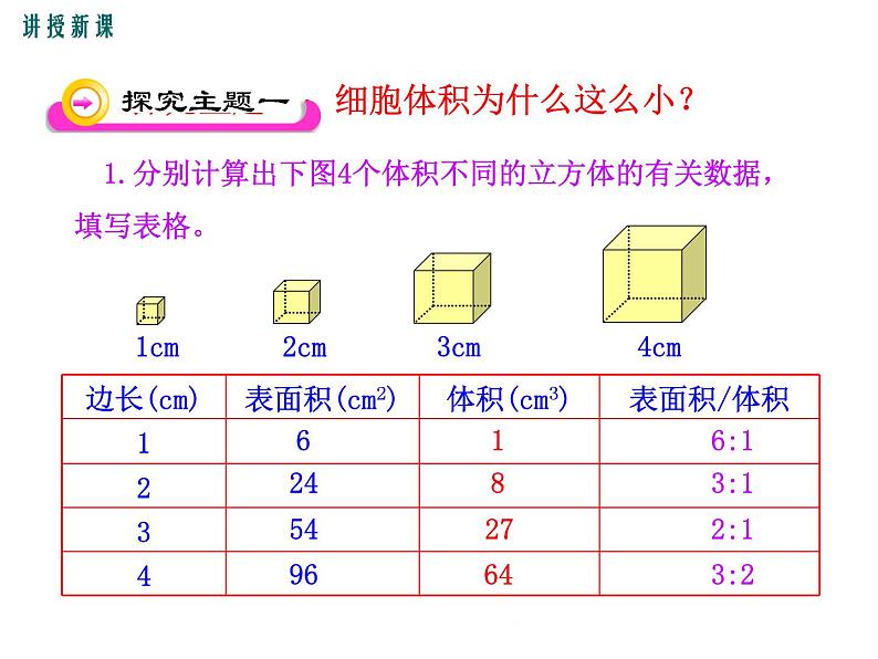 2.3.3  细胞通过分裂而增殖+课件04