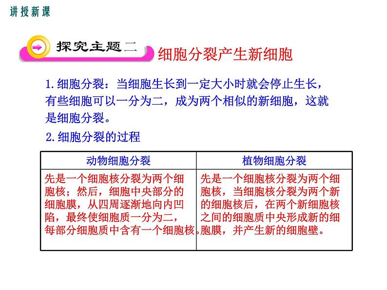 2.3.3  细胞通过分裂而增殖+课件06