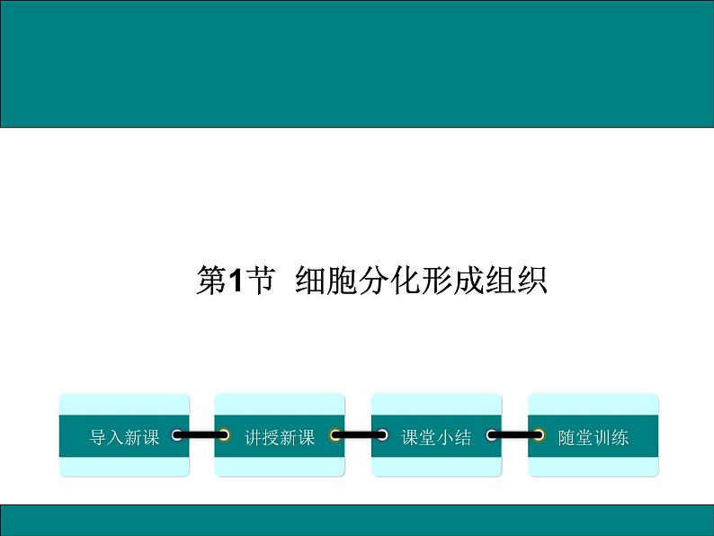 2.4.1  细胞分化形成组织+课件01