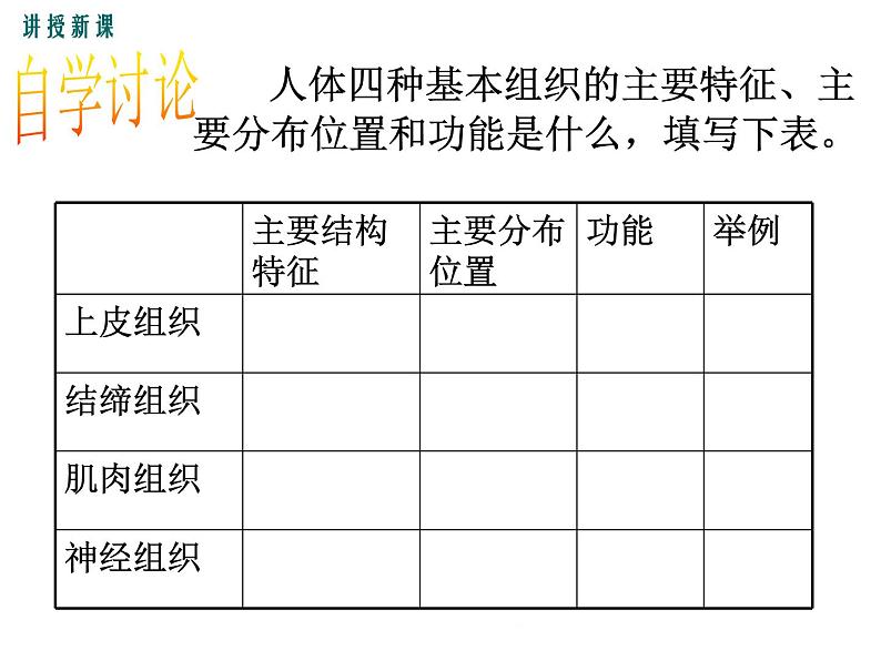 2.4.1  细胞分化形成组织+课件08