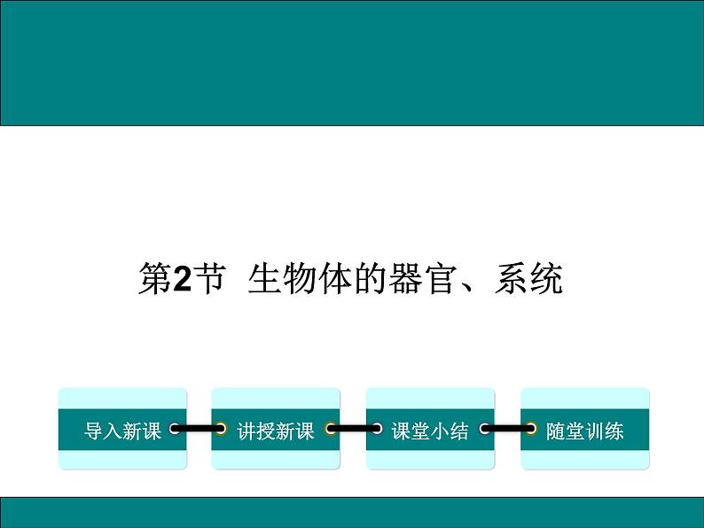 2.4.2  生物体的器官、系统+课件01